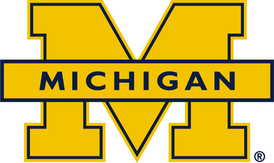 Michigan Wolverines 2016-Pres Secondary Logo diy DTF decal sticker